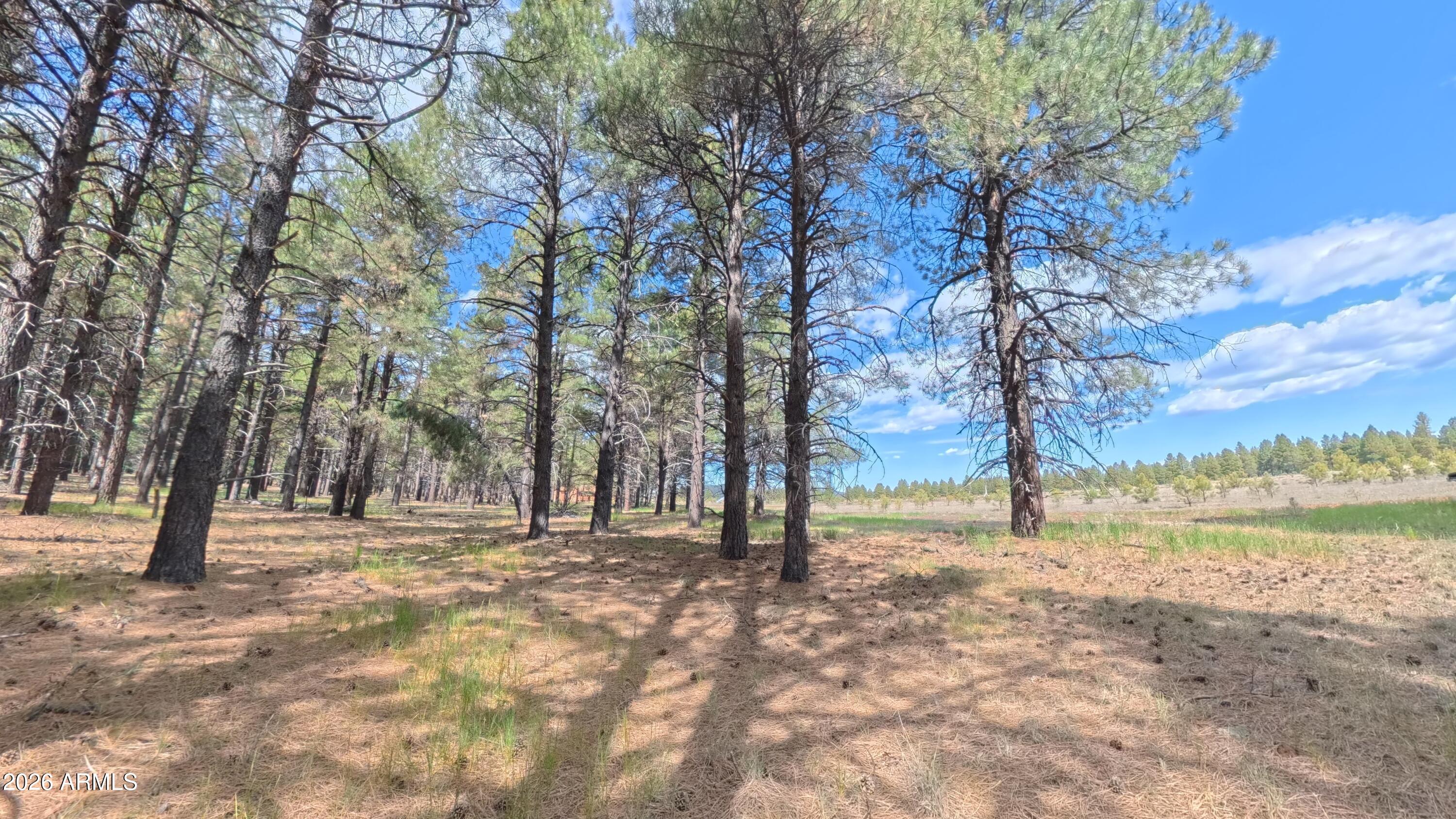 12565 CAMP KIMBALL Road -