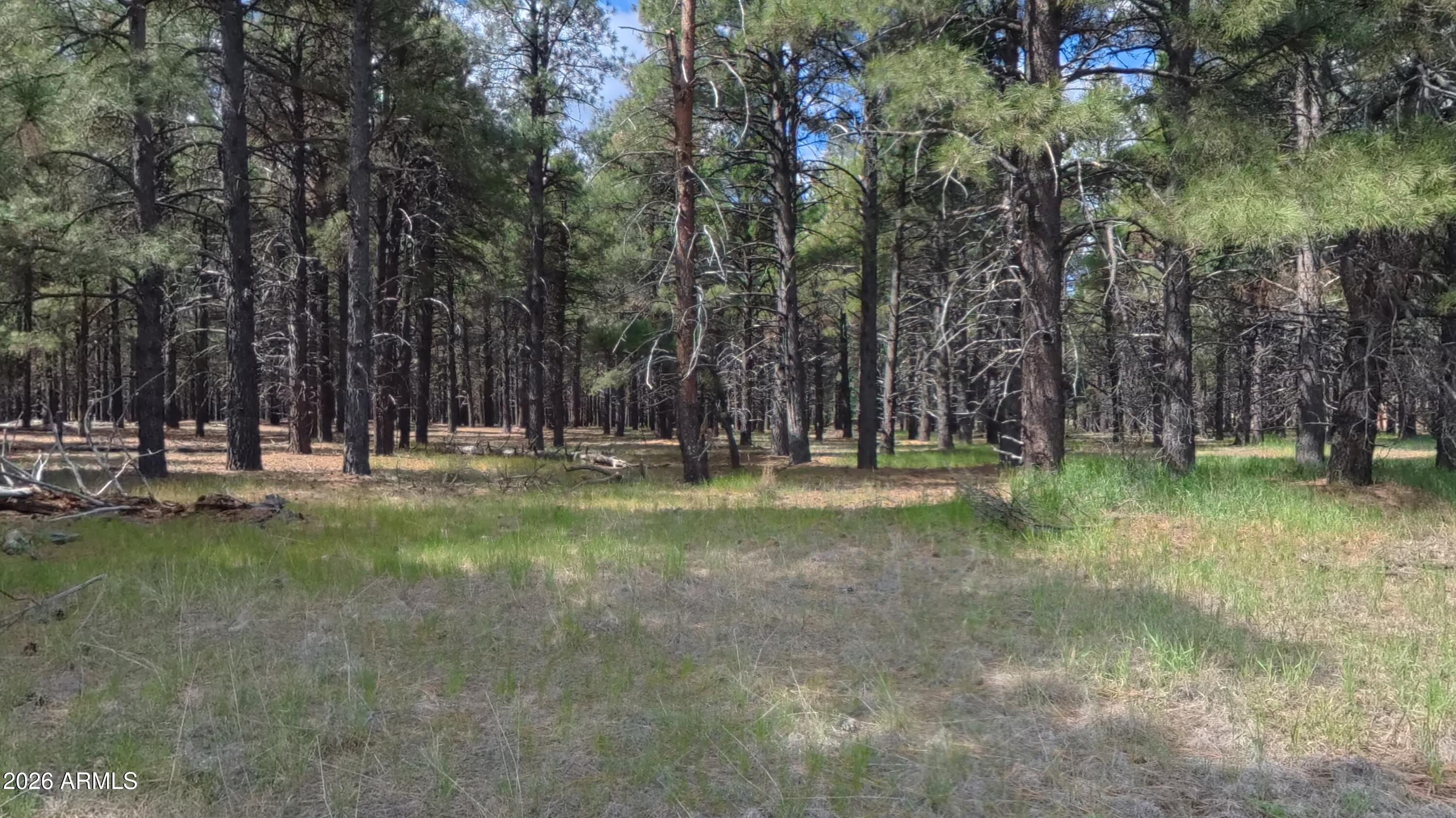 12565 CAMP KIMBALL Road -
