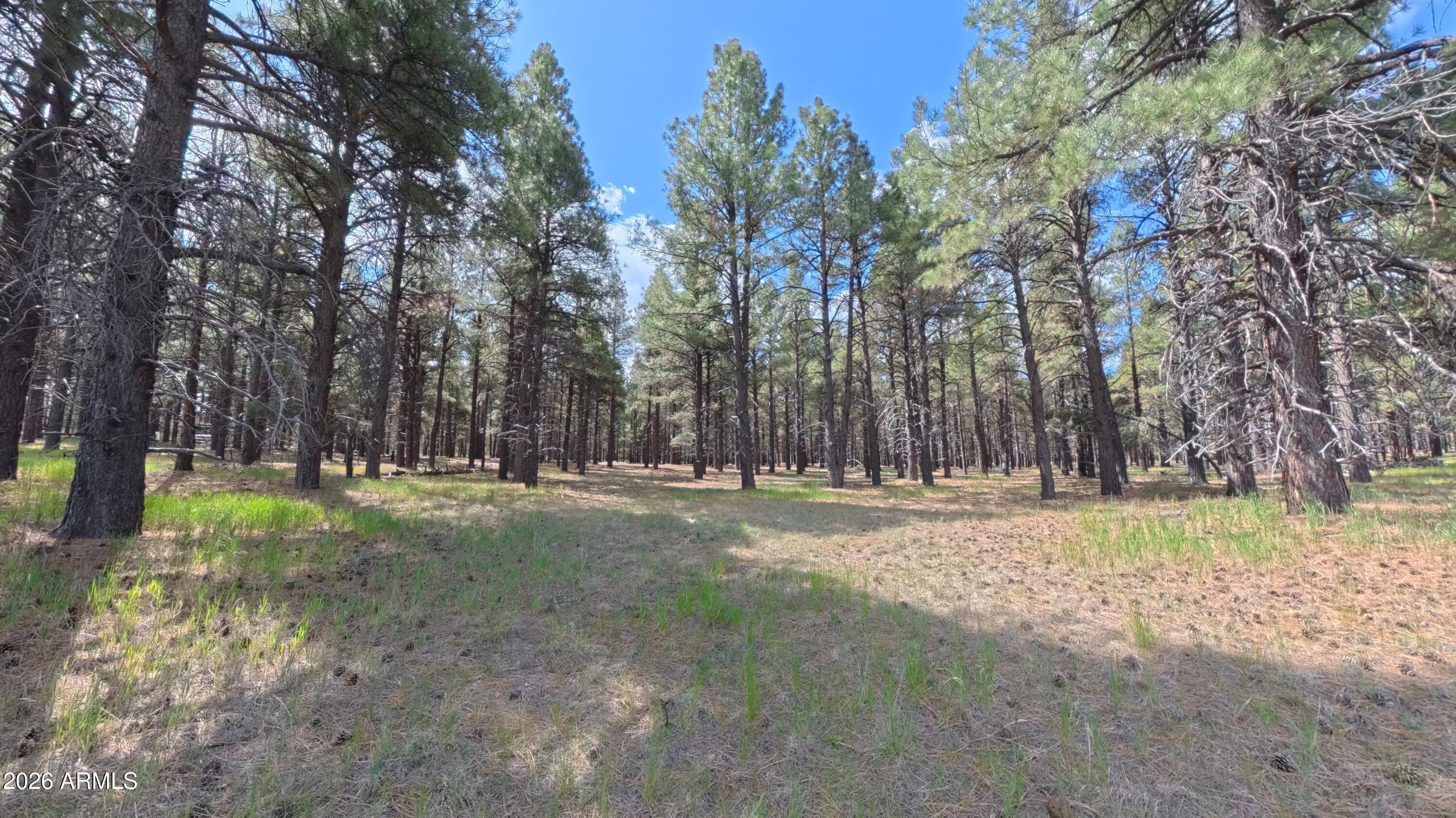 12565 CAMP KIMBALL Road -