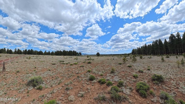 12565 CAMP KIMBALL RD, PARKS, AZ 86018 - Image 7d8ccb832080feea6cd06be1a8454c7f/3835708584