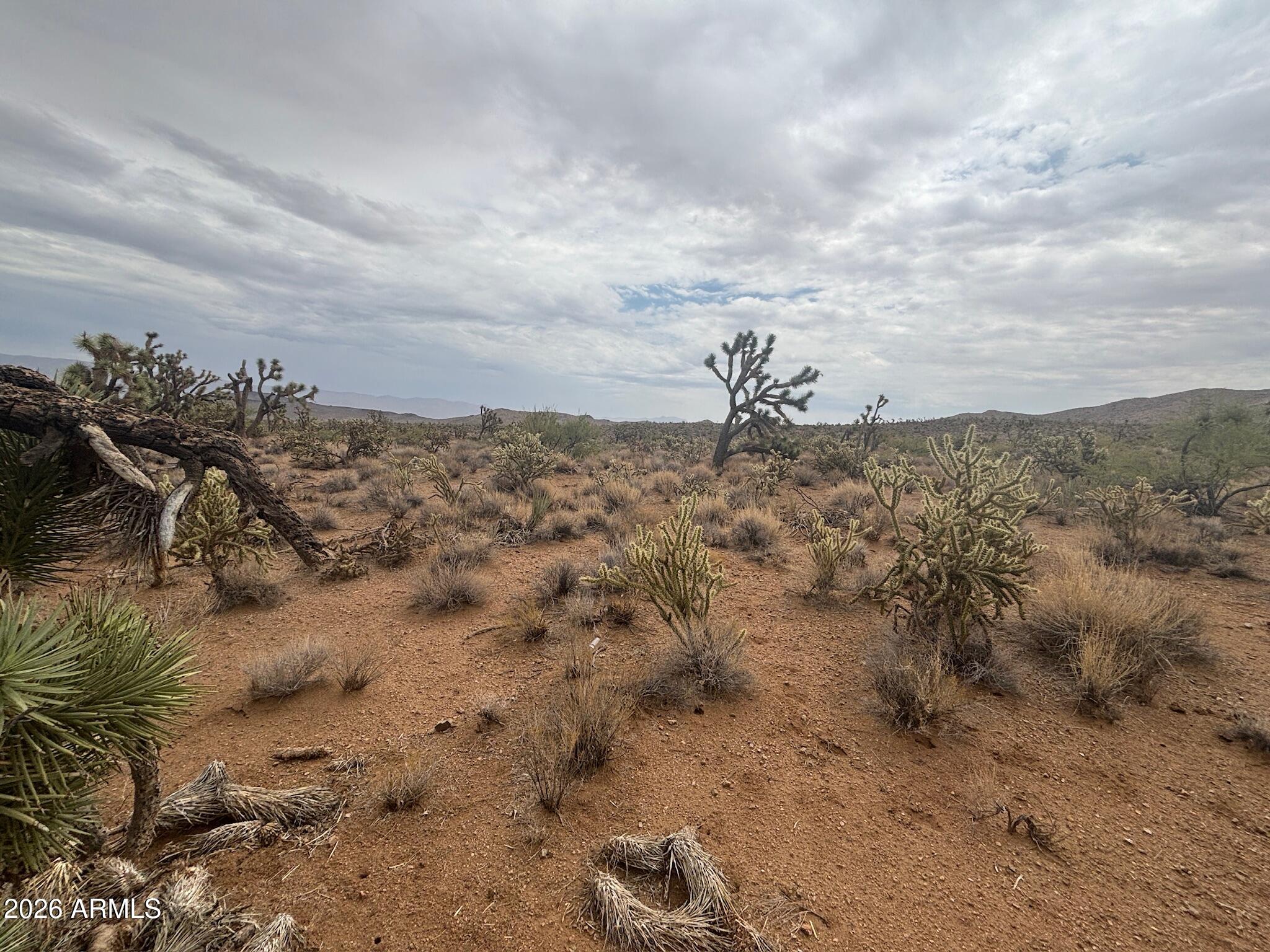 18290 N Smoke Drive 220