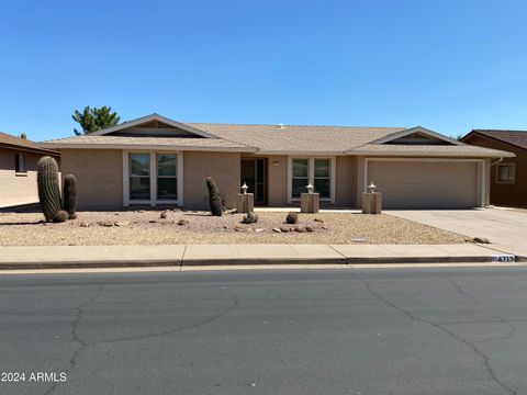 Single Family Residence in Mesa AZ 4713 FLOWER Circle.jpg