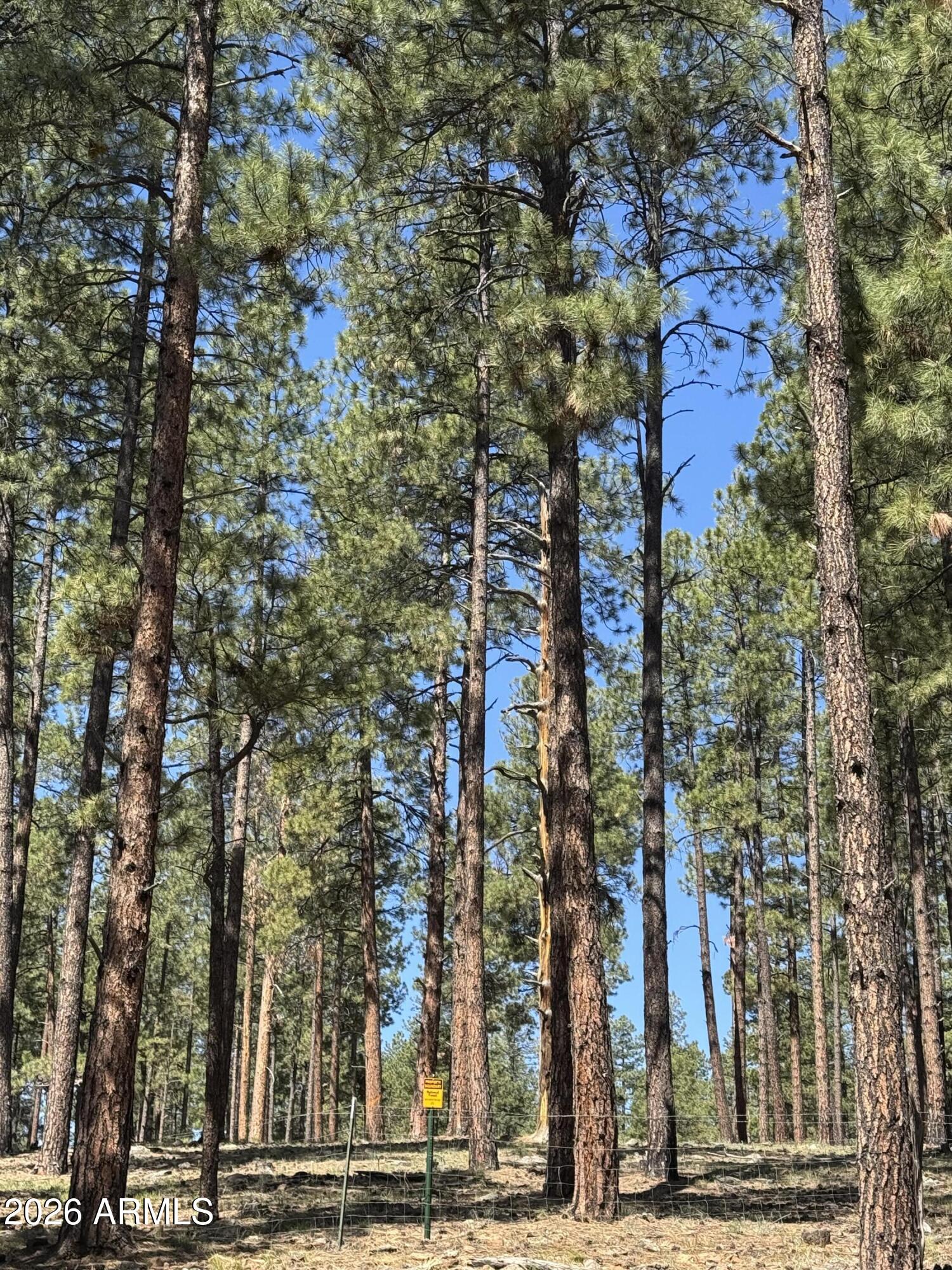 9410 Coyote Pass -