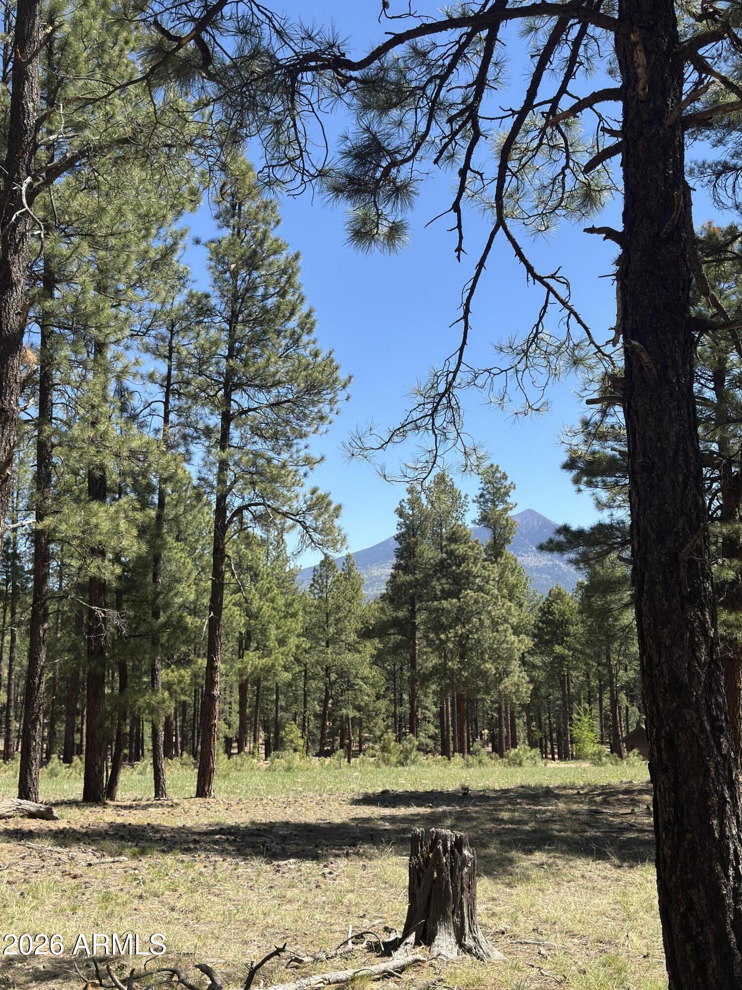9410 Coyote Pass -