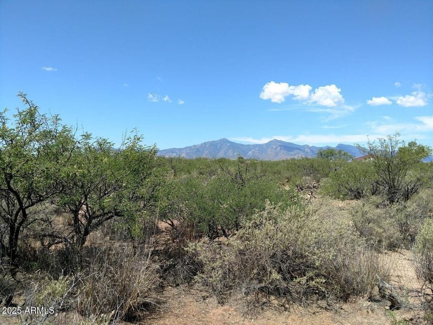 4 acres with beautiful mountain views 
with a 3 well share 
Build your dream house or have your manufactured home placed here and enjoy the peaceful, serene area