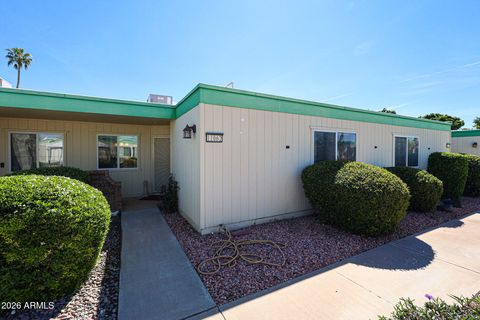 11062 W COGGINS Drive Sun City AZ 85351