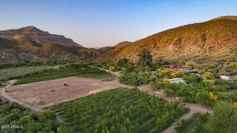 89395 E ARAVAIPA Road Winkelman AZ 85192
