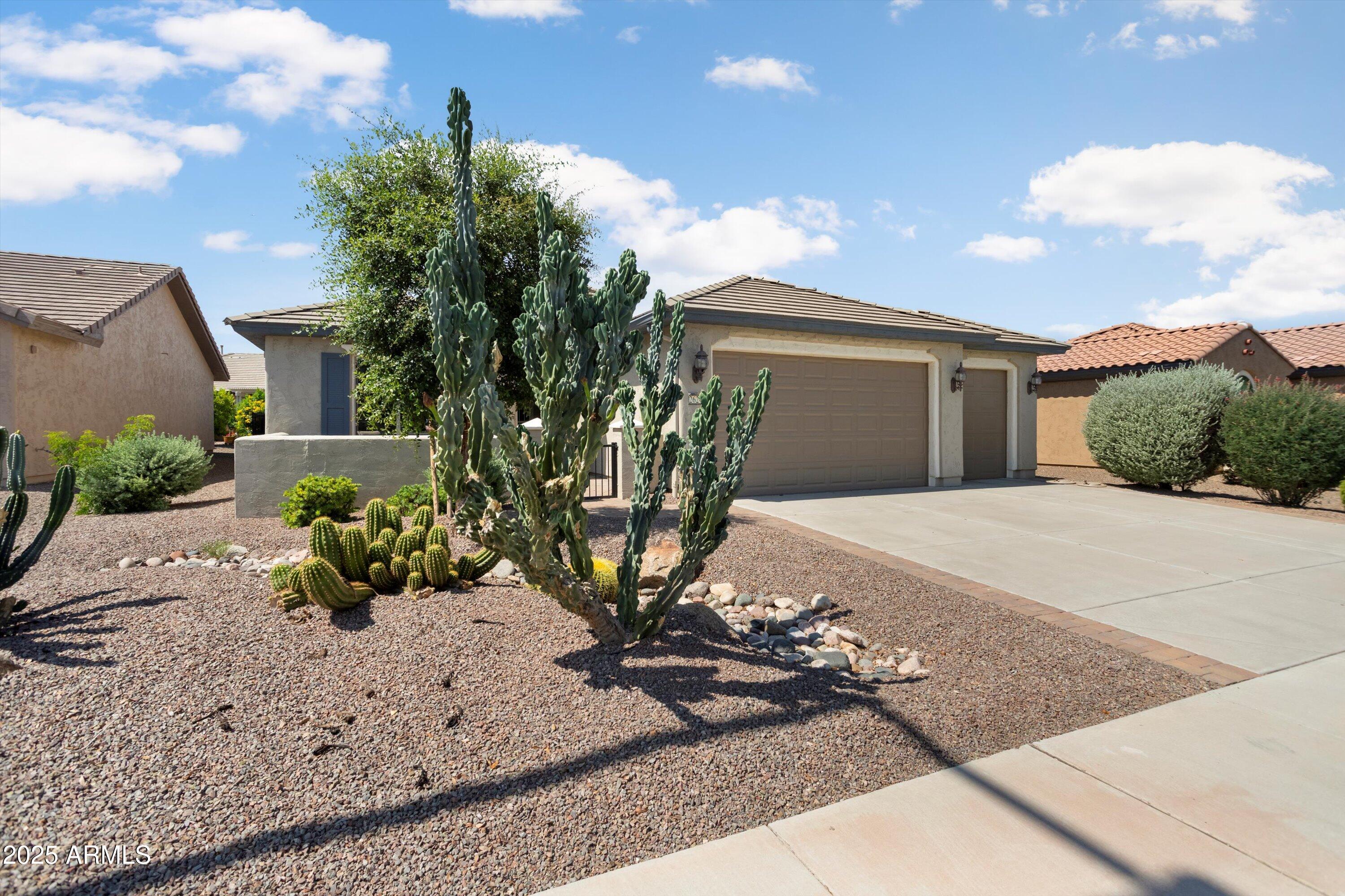 26247 W LONE CACTUS Drive