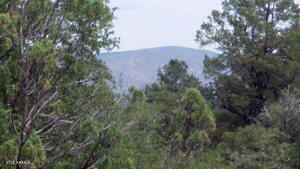 106 S CRESCENT MOON -- 296