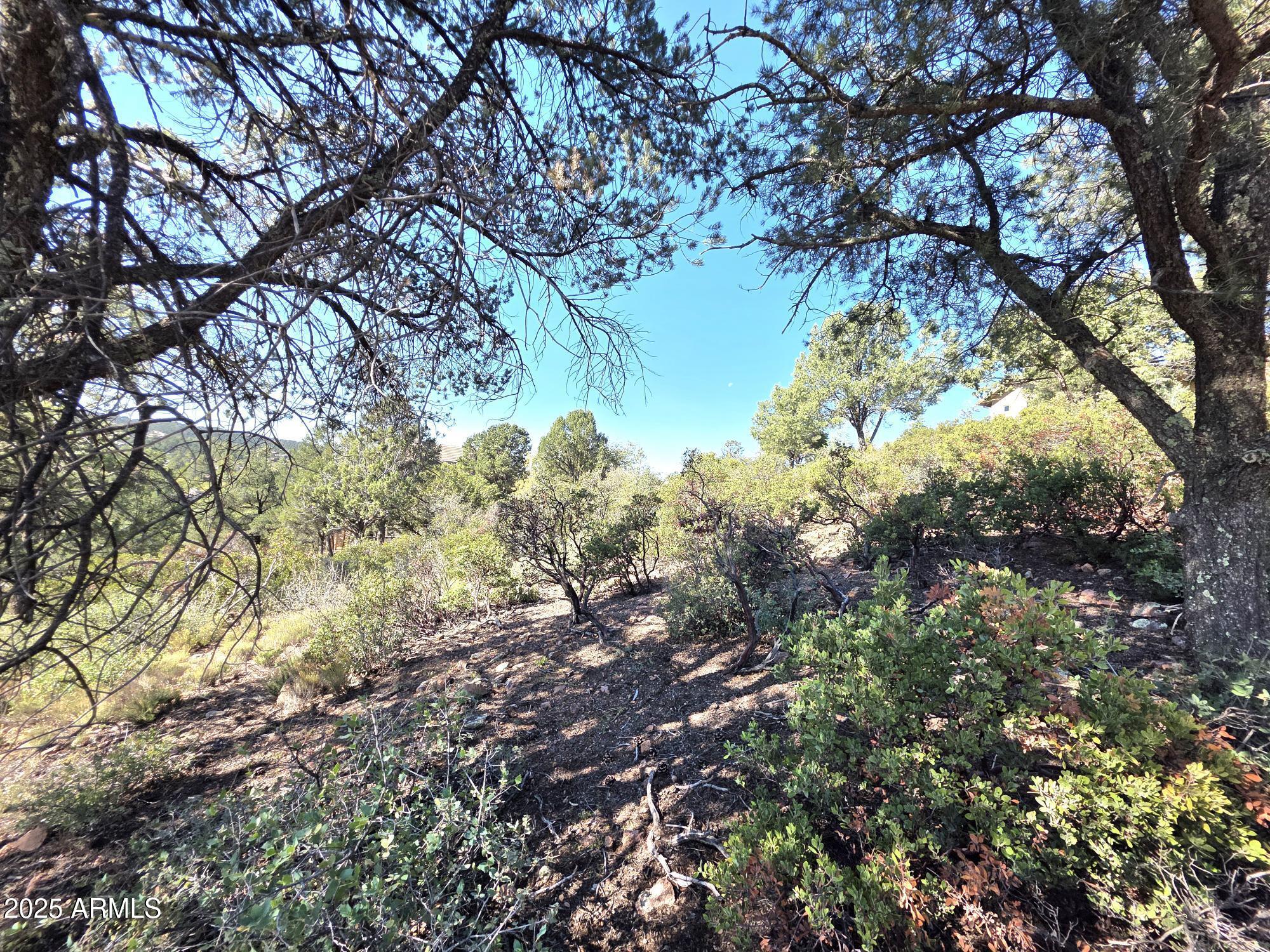 CHAPARRAL PINES PHASE 2 - Land