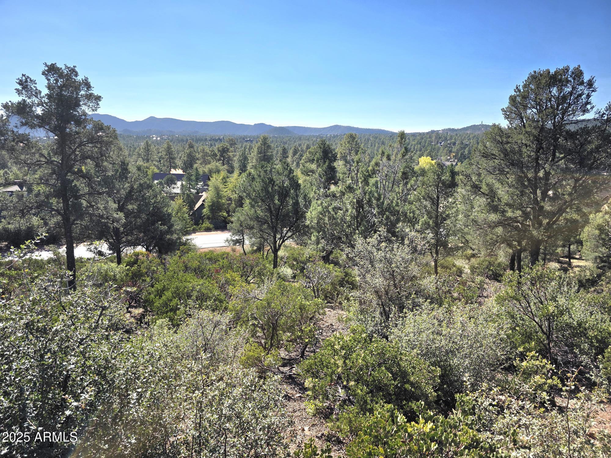 CHAPARRAL PINES PHASE 2 - Land
