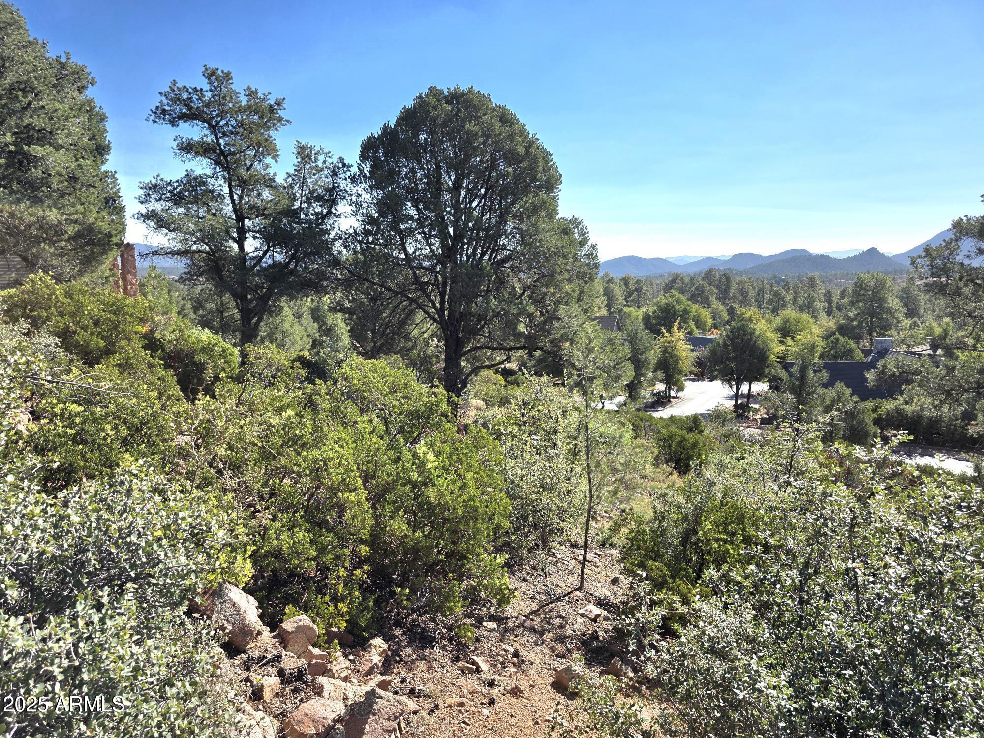 CHAPARRAL PINES PHASE 2 - Land