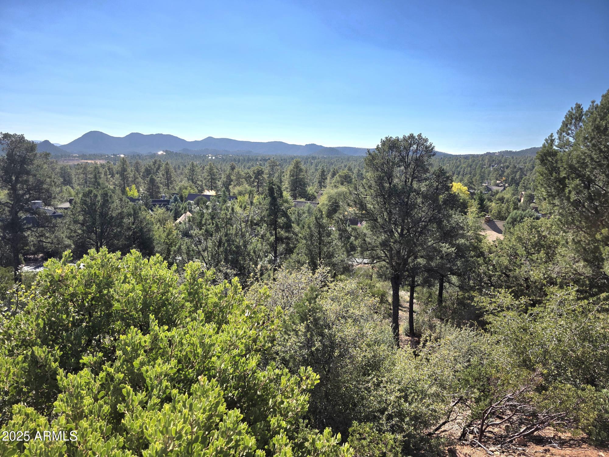 CHAPARRAL PINES PHASE 2 - Land