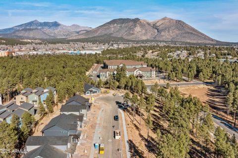 A home in Flagstaff