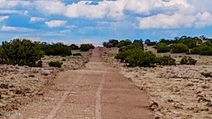 TBD Sanders 255 Acres -- -