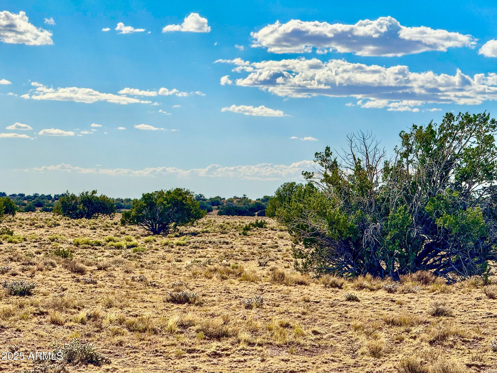 TBD Sanders 255 Acres -- -