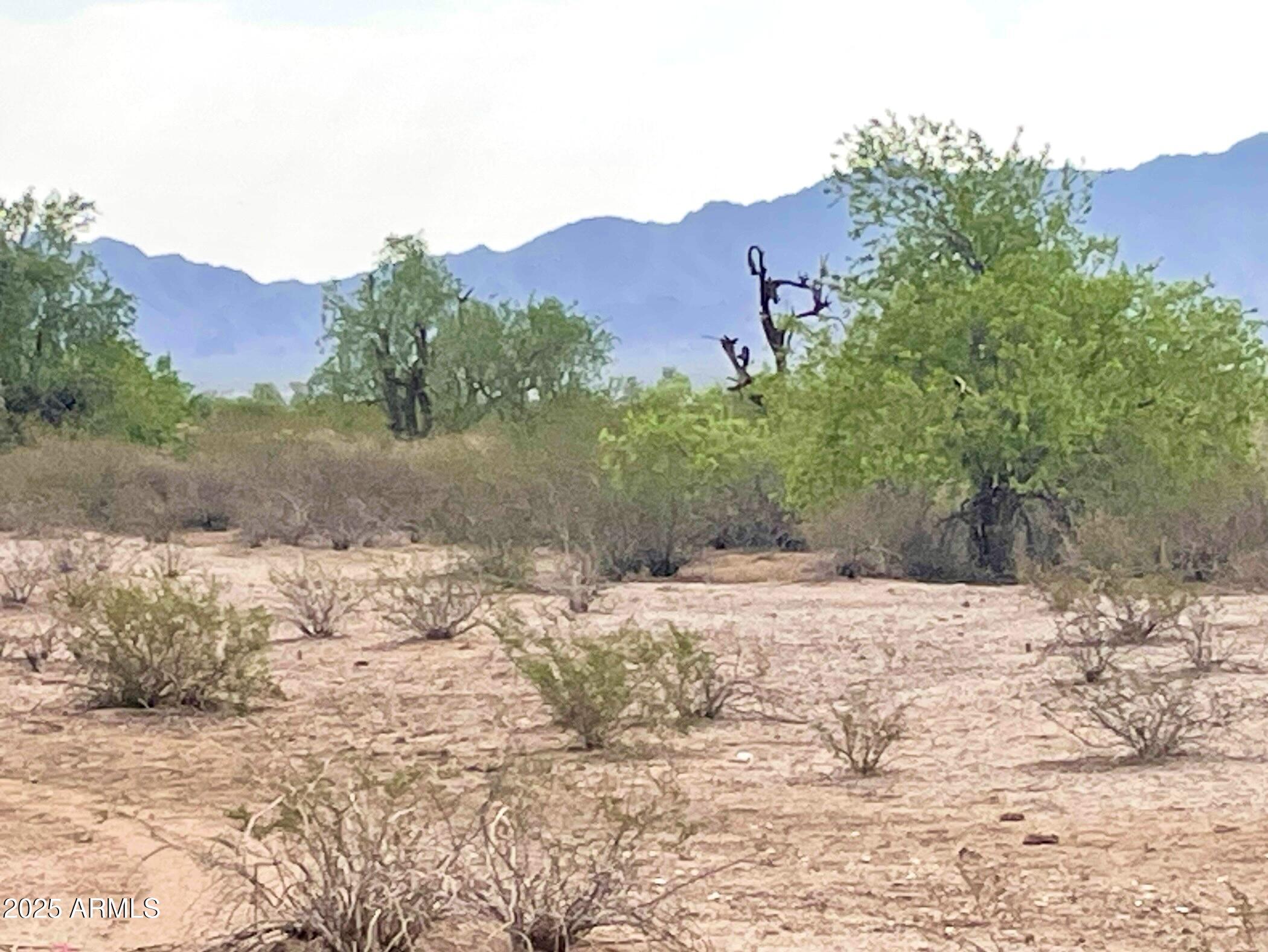 0 S 193rd (North lot) Avenue -