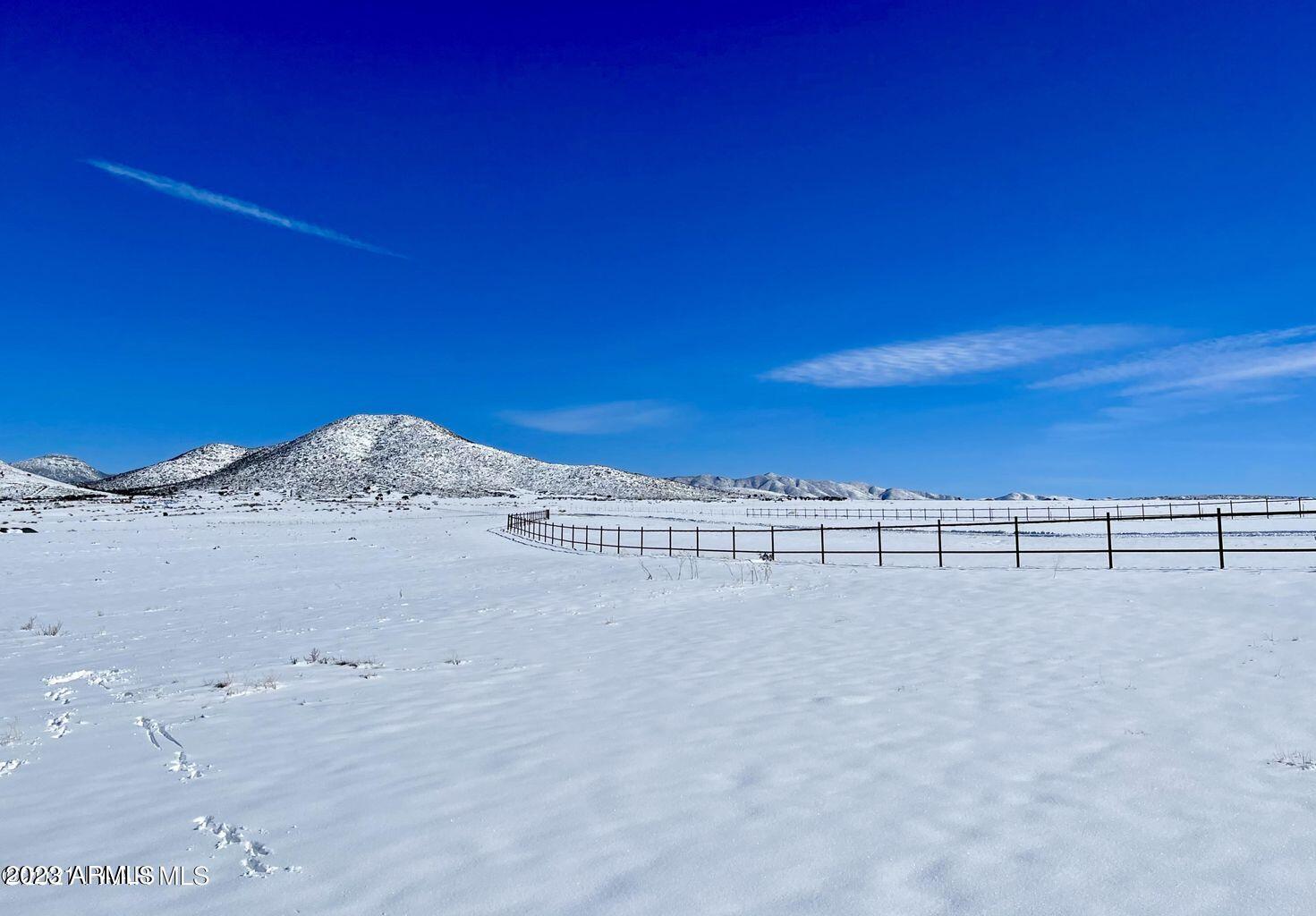 10690 E Woven Gold Way 54