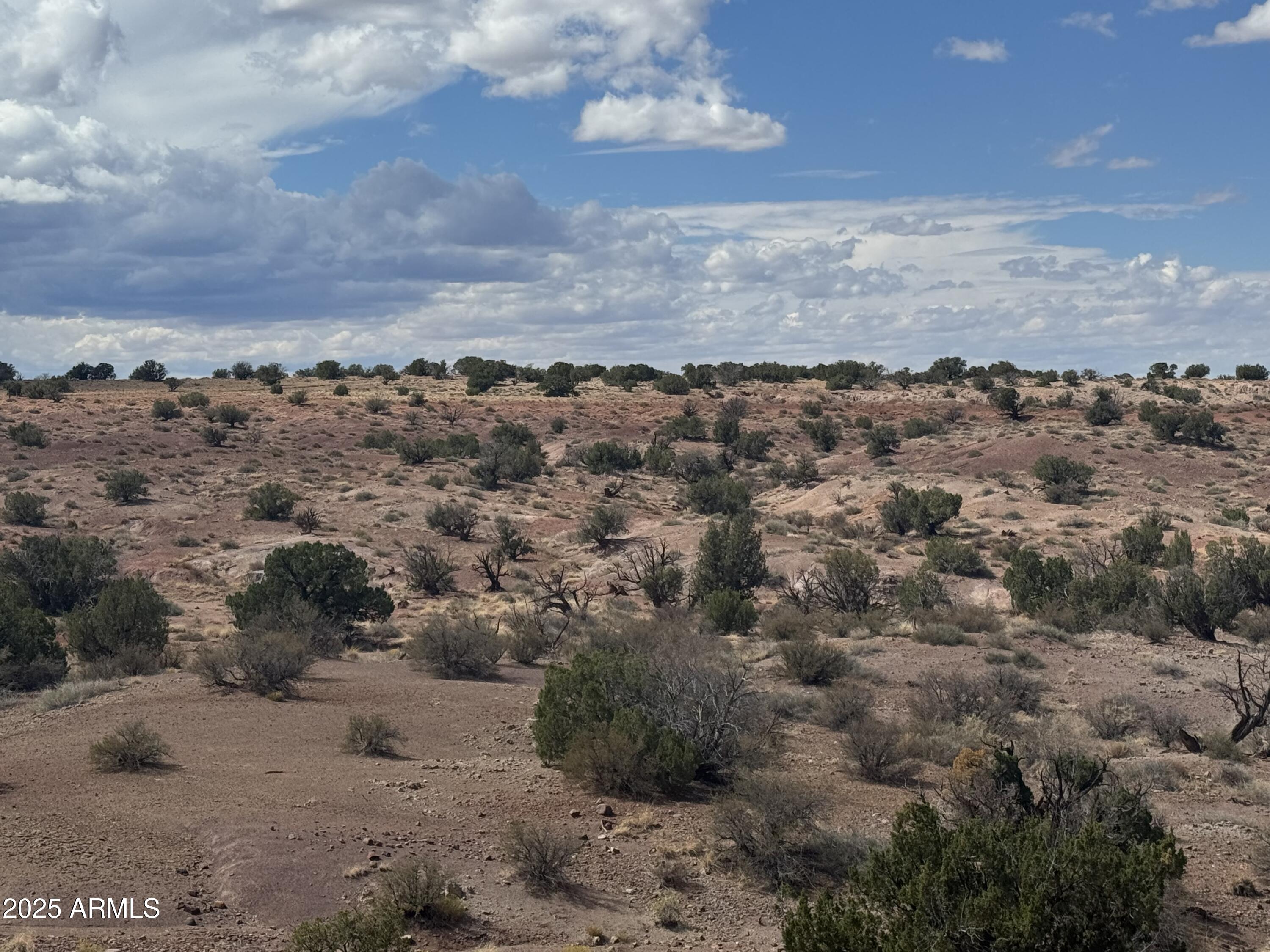 RIVER SPRINGS RANCH UNIT 1 - Land