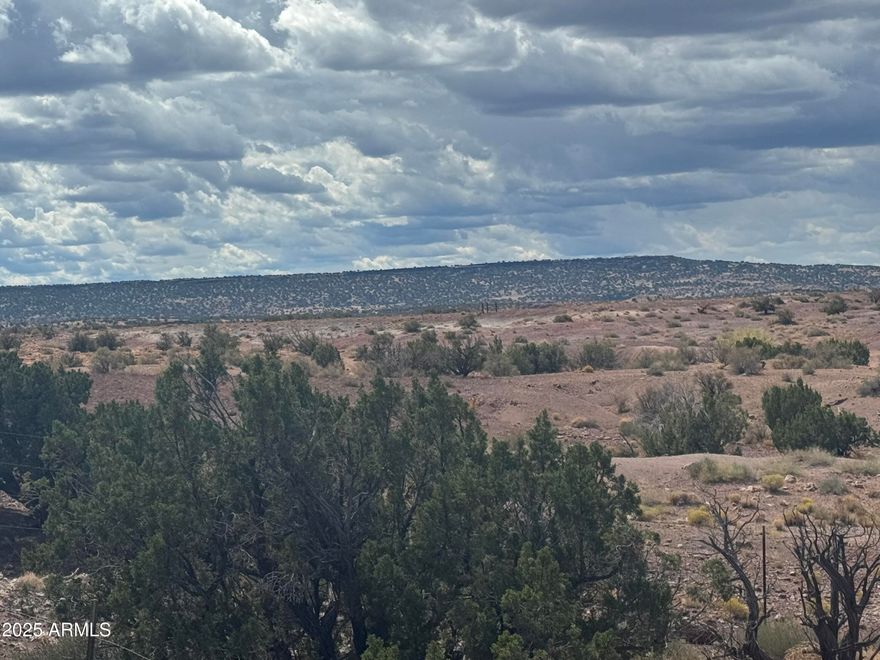 Escape to Your Private Paradise! This breathtaking 37.5-acre retreat now comes at an unbeatable value, offering 360° panoramic views of Arizona's most captivating landscapes. Just 4.5 miles from the charming, historic town of St. Johns, you'll enjoy the perfect blend of seclusion and convenience.The property is fully fenced and already equipped with an approved septic system--ready for you to move in your RV and live full-time, or take the next step and build your dream home. Whether you crave peaceful solitude, outdoor adventure, or a foundation to build your vision, this land is your blank canvas. Seller financing available with 20% down. 7% discount for cash.