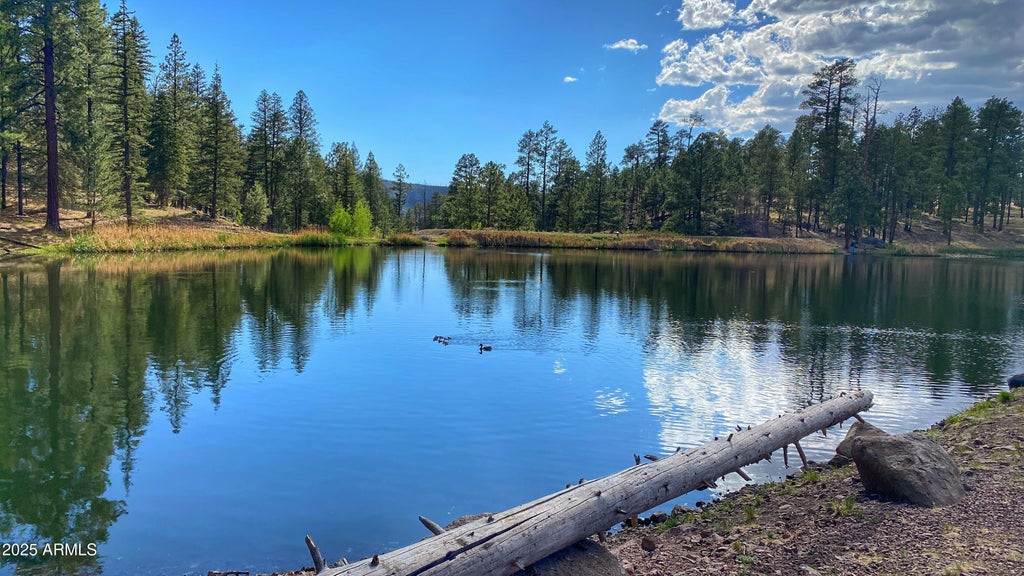 Photo of 4760 W Bison Lane, Show Low, AZ 85901 (MLS # 7094833)