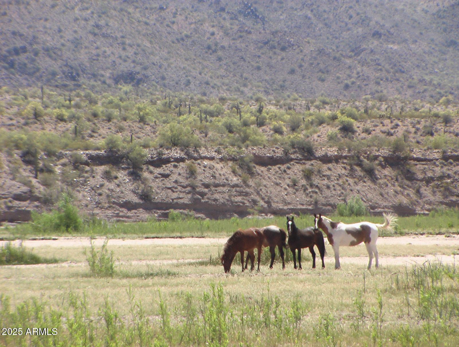 236243 S SIGNAL Road