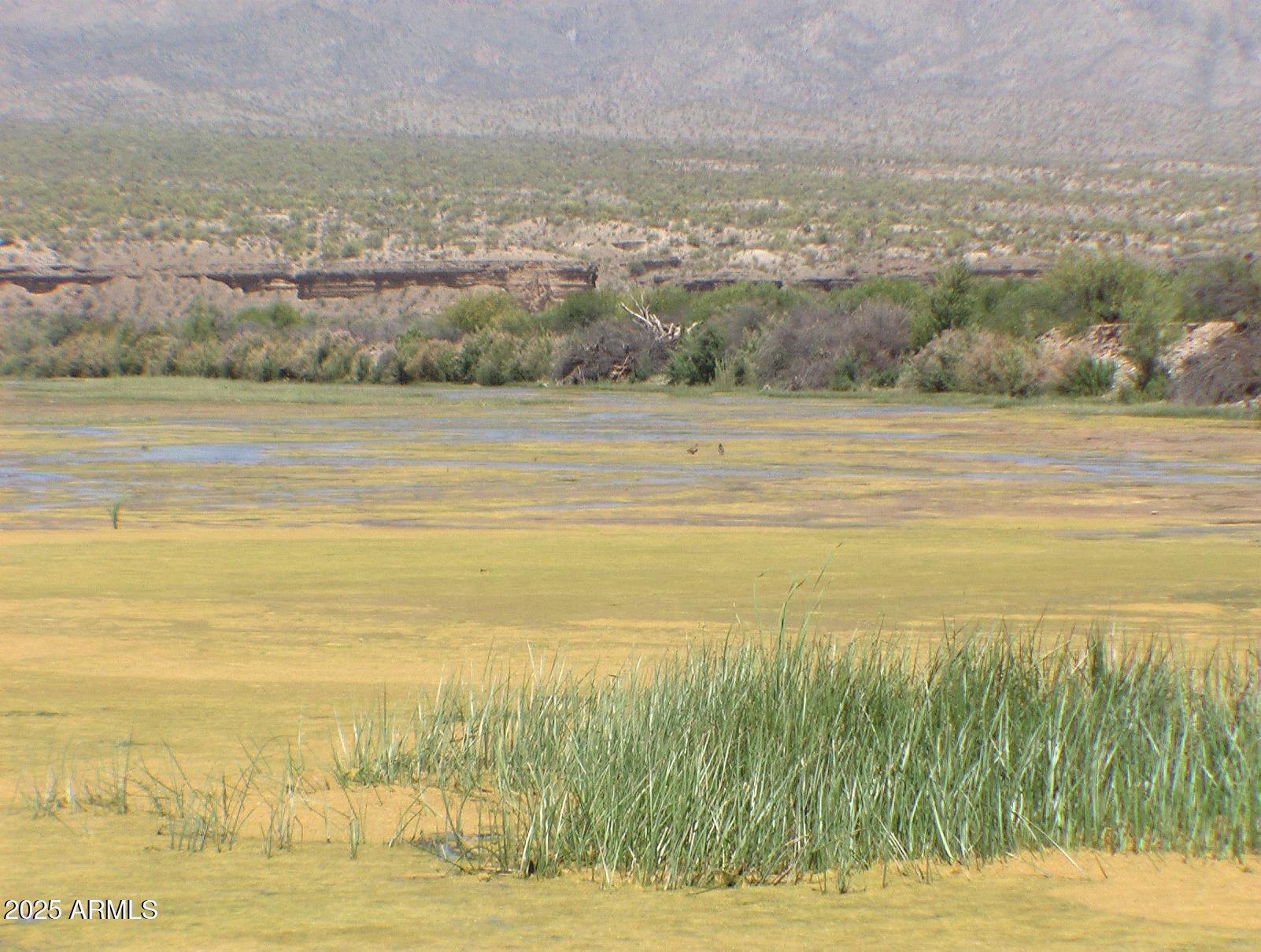 236243 S SIGNAL Road