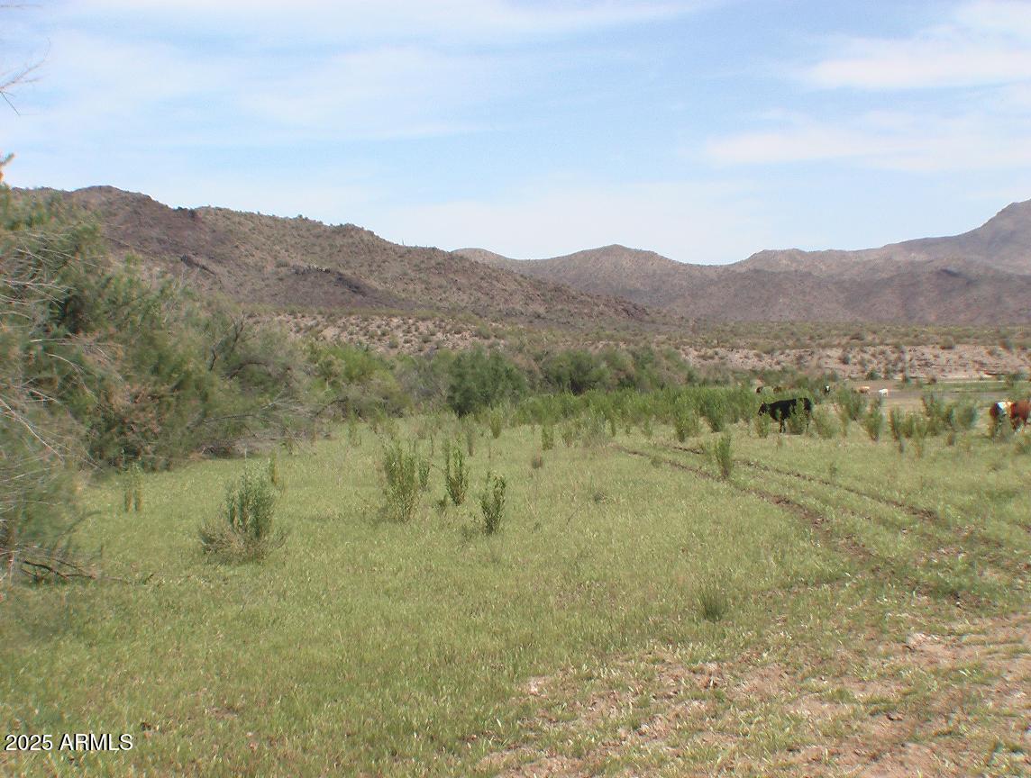 236243 S SIGNAL Road