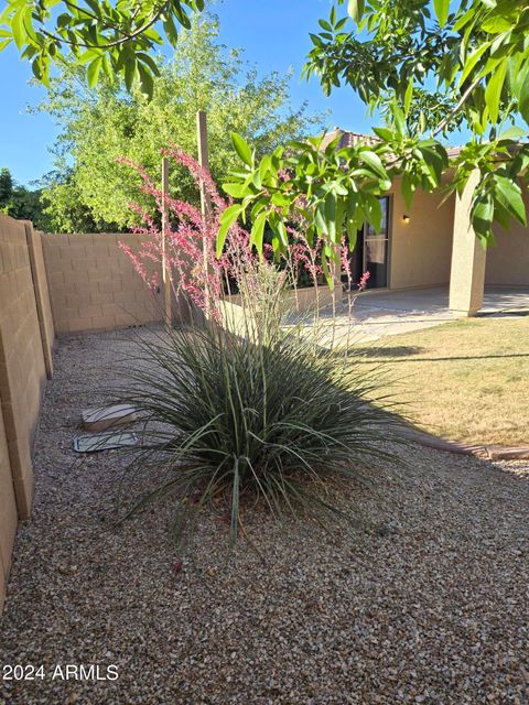 A home in San Tan Valley