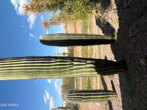 A home in Apache Junction