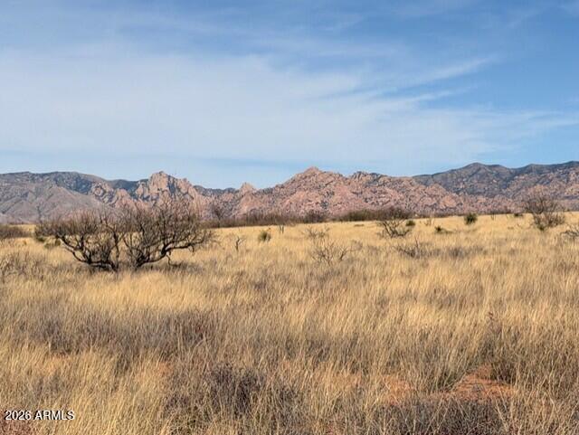 Dragoon Mountain Ranch Unit 3 - Land