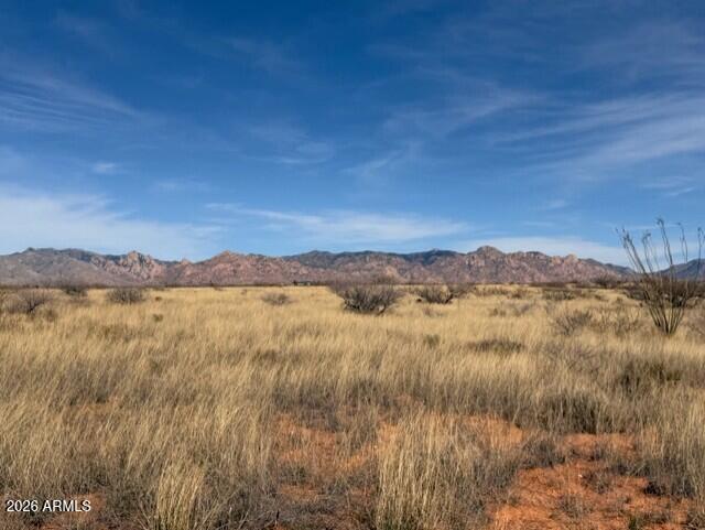 Dragoon Mountain Ranch Unit 3 - Land