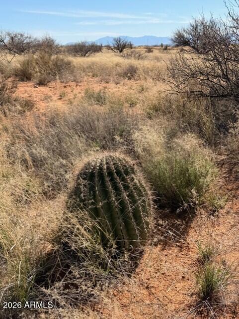 Dragoon Mountain Ranch Unit 3 - Land