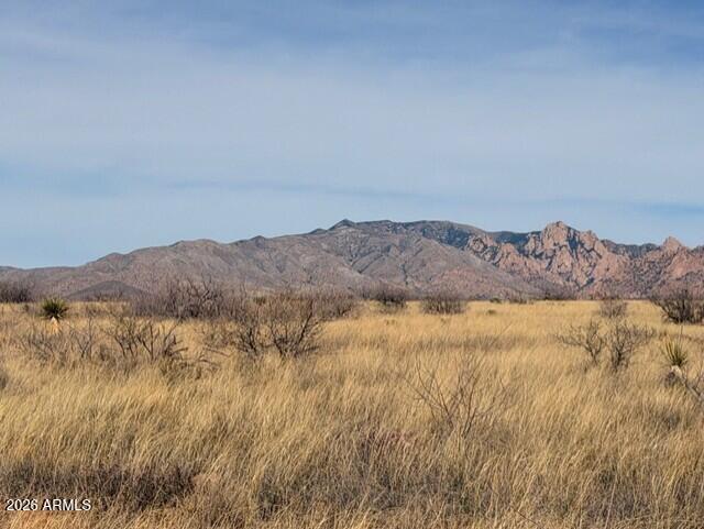 Dragoon Mountain Ranch Unit 3 - Land