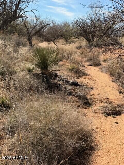 Dragoon Mountain Ranch Unit 3 - Land