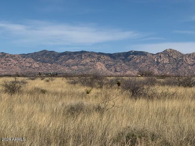 Dragoon Mountain Ranch Unit 3 - Land