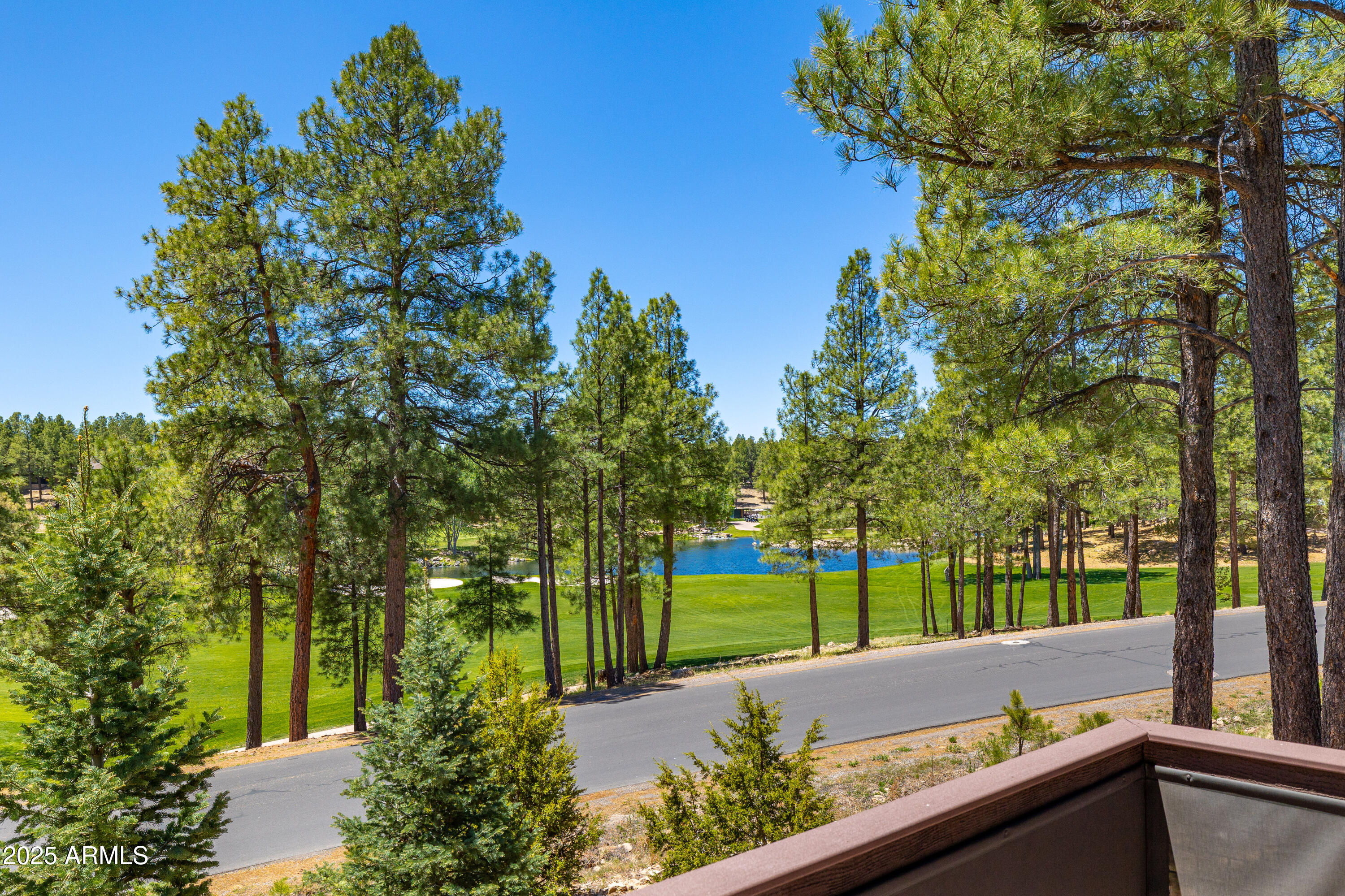 2725 S BIRDS OF PREY Court