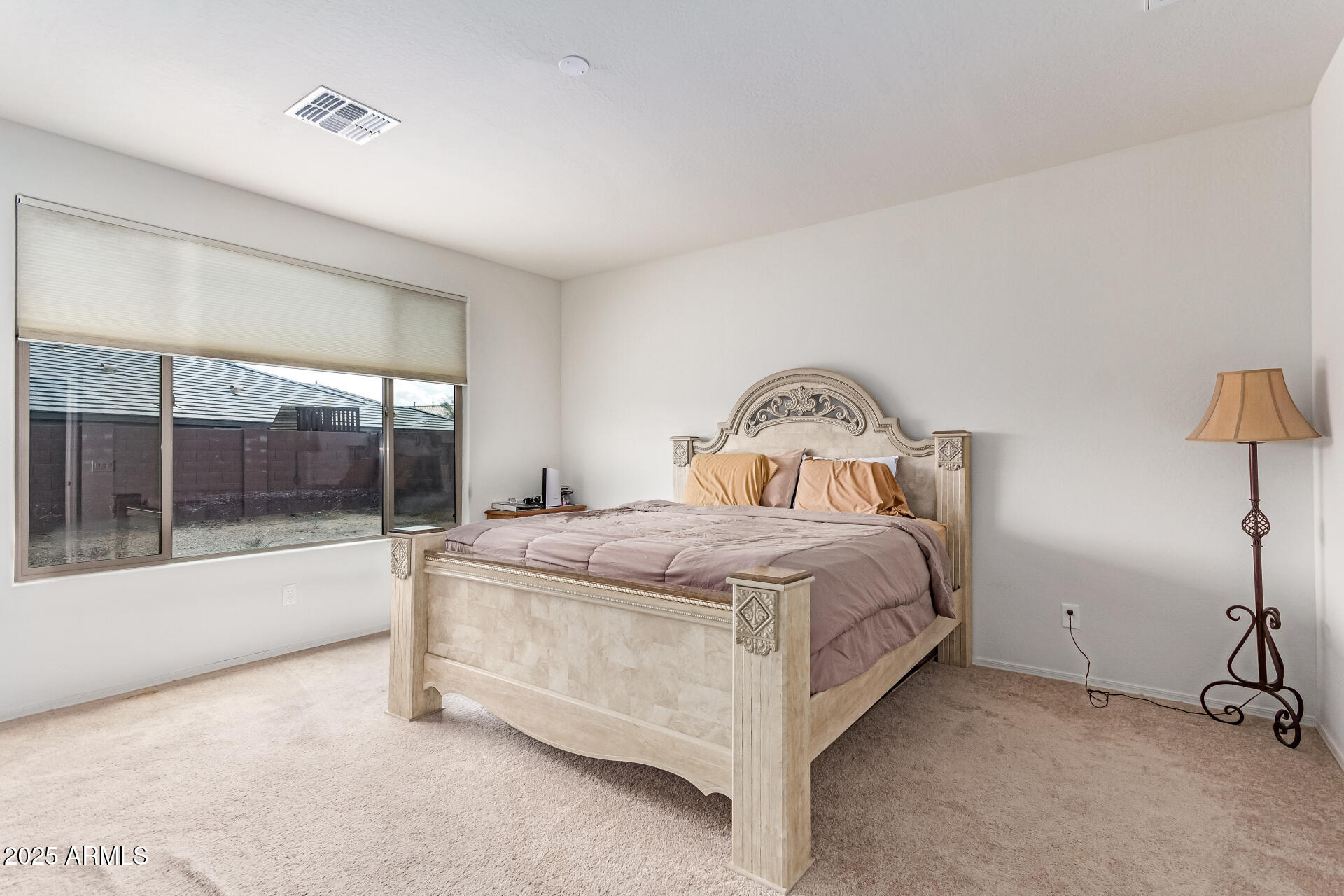 16221 W PRICKLY PEAR Trail