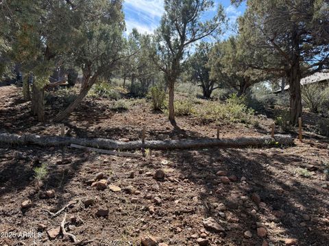 1122 S SYCAMORE Circle 58 Payson AZ 85541