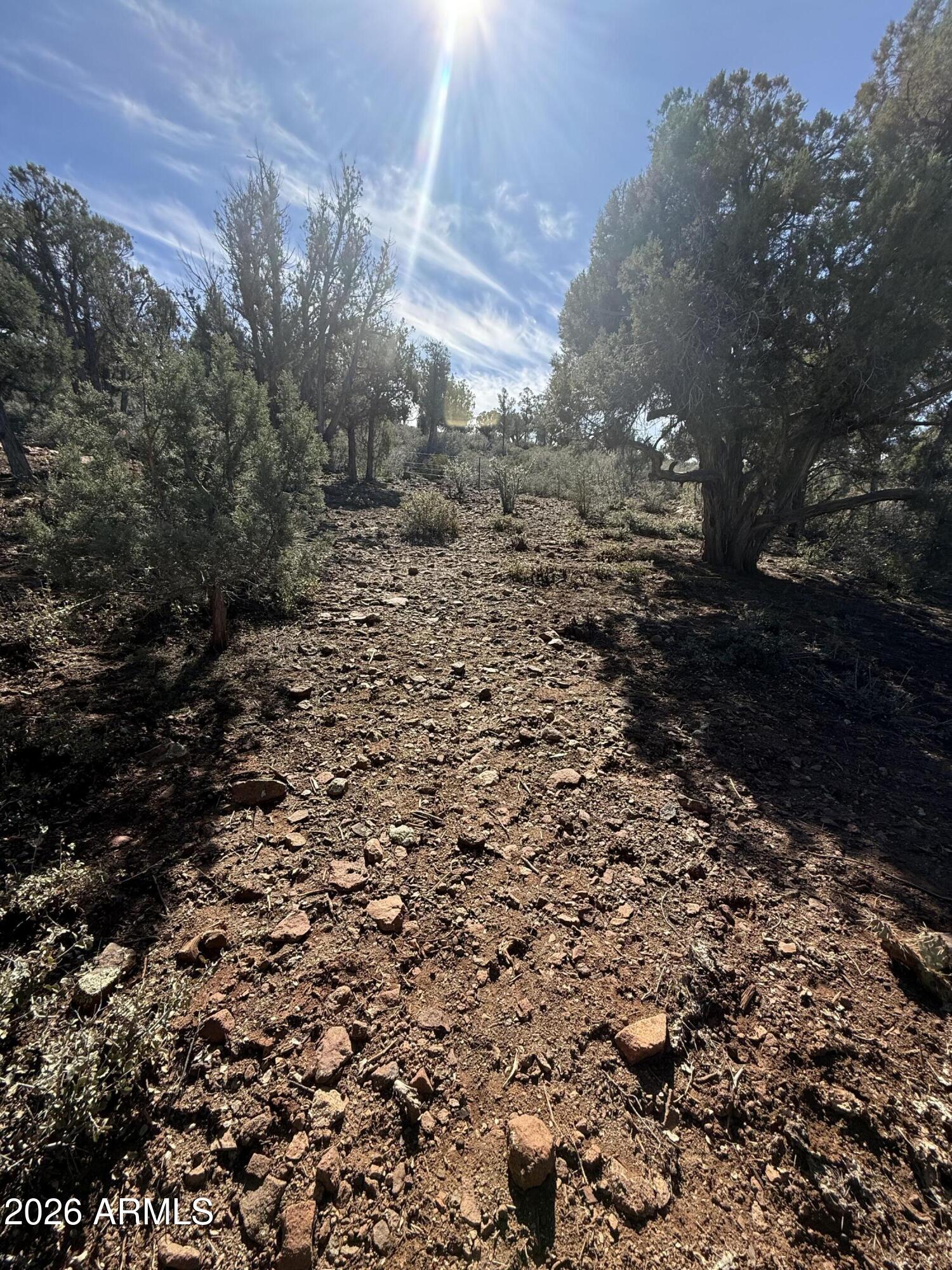 1122 S SYCAMORE Circle 58