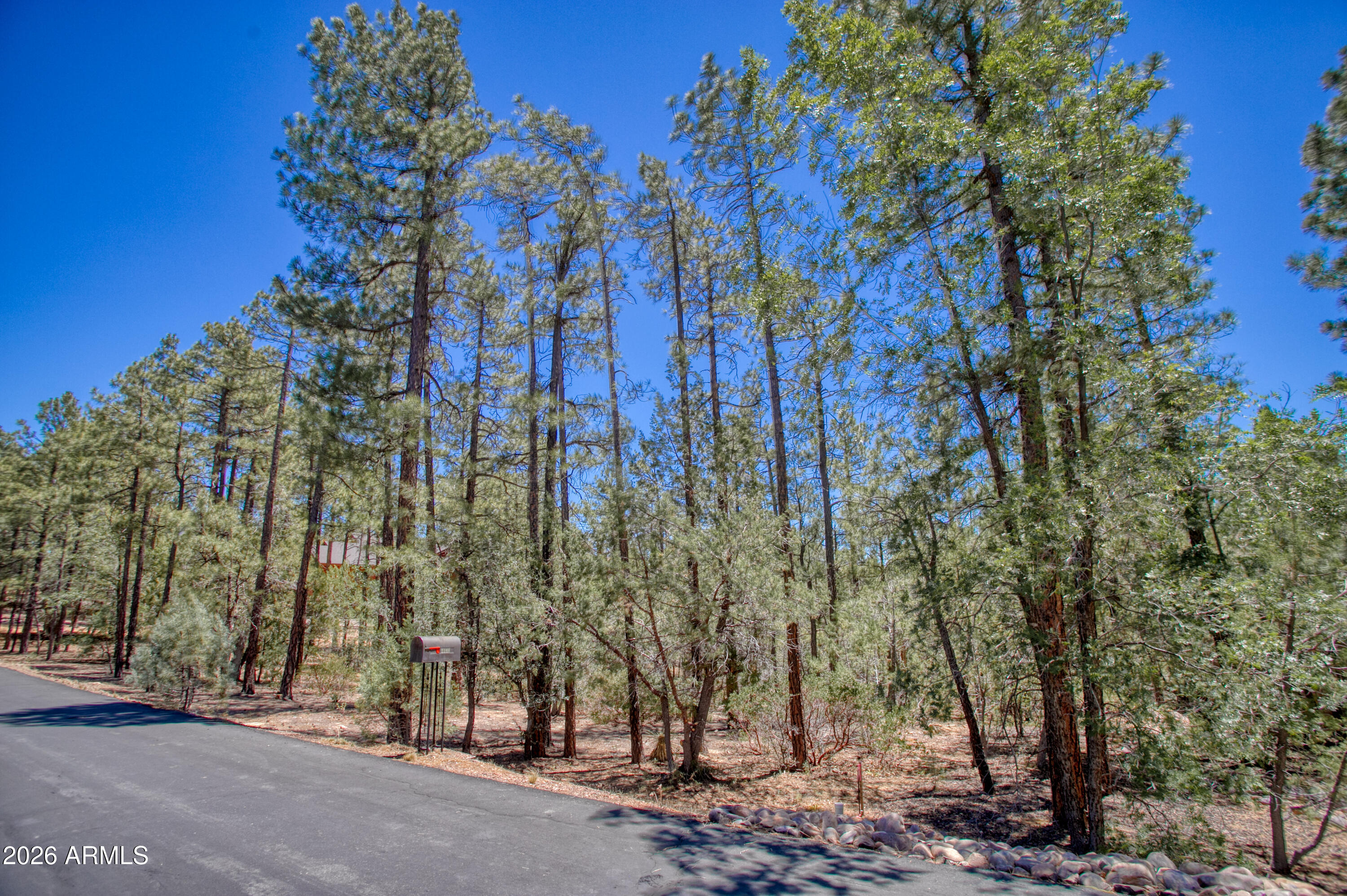1101 E PINE OAKS Drive 47