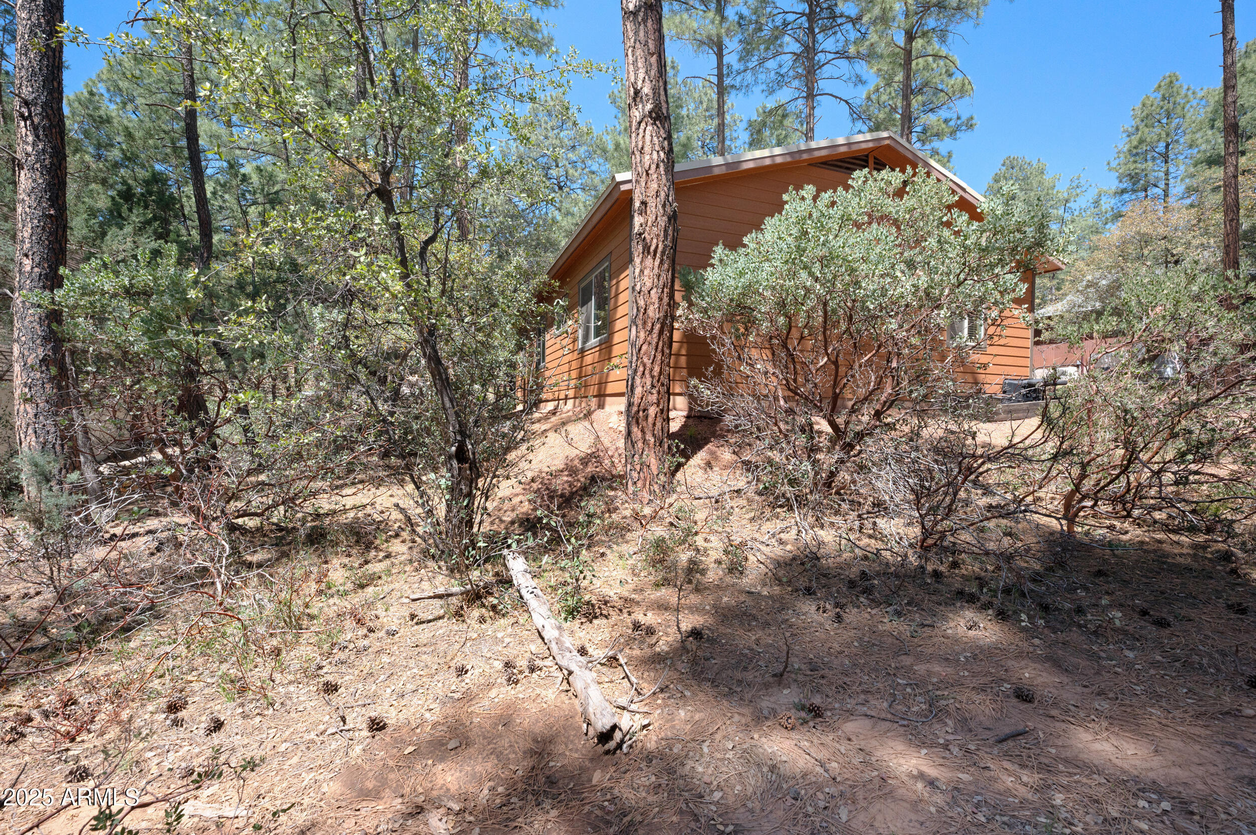 3685 N COCHISE Lane
