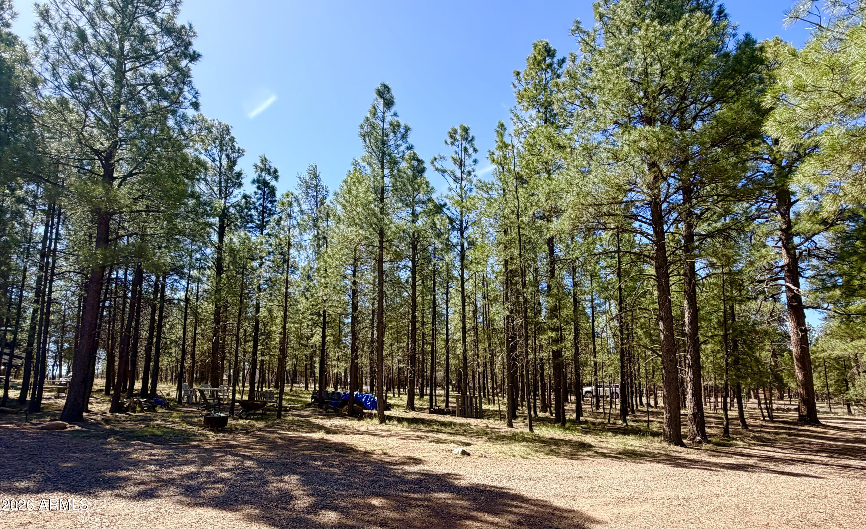 CLEAR CREEK PINES 7 - Land