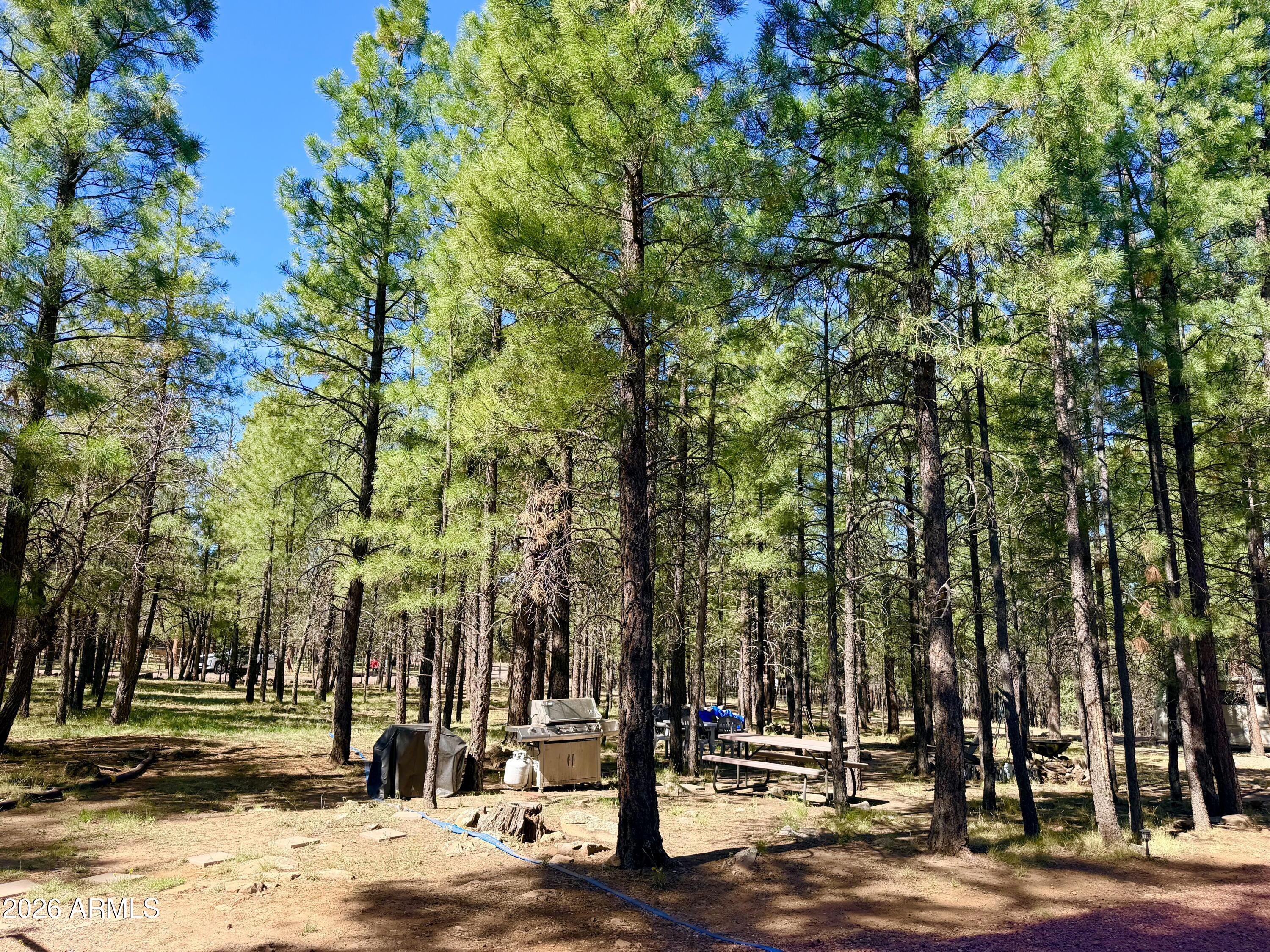 CLEAR CREEK PINES 7 - Land