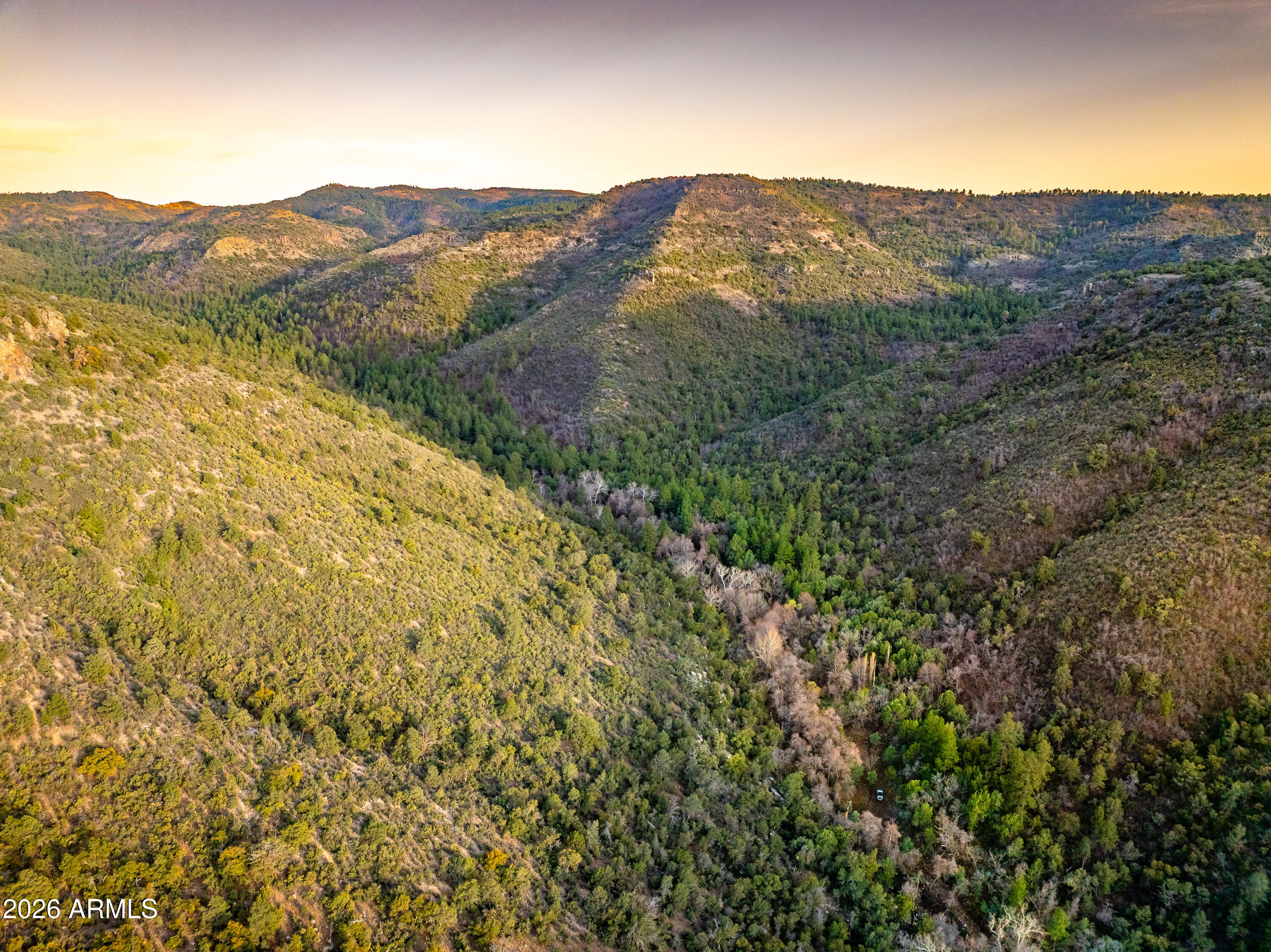 323 Homestead Entry Survey -- -