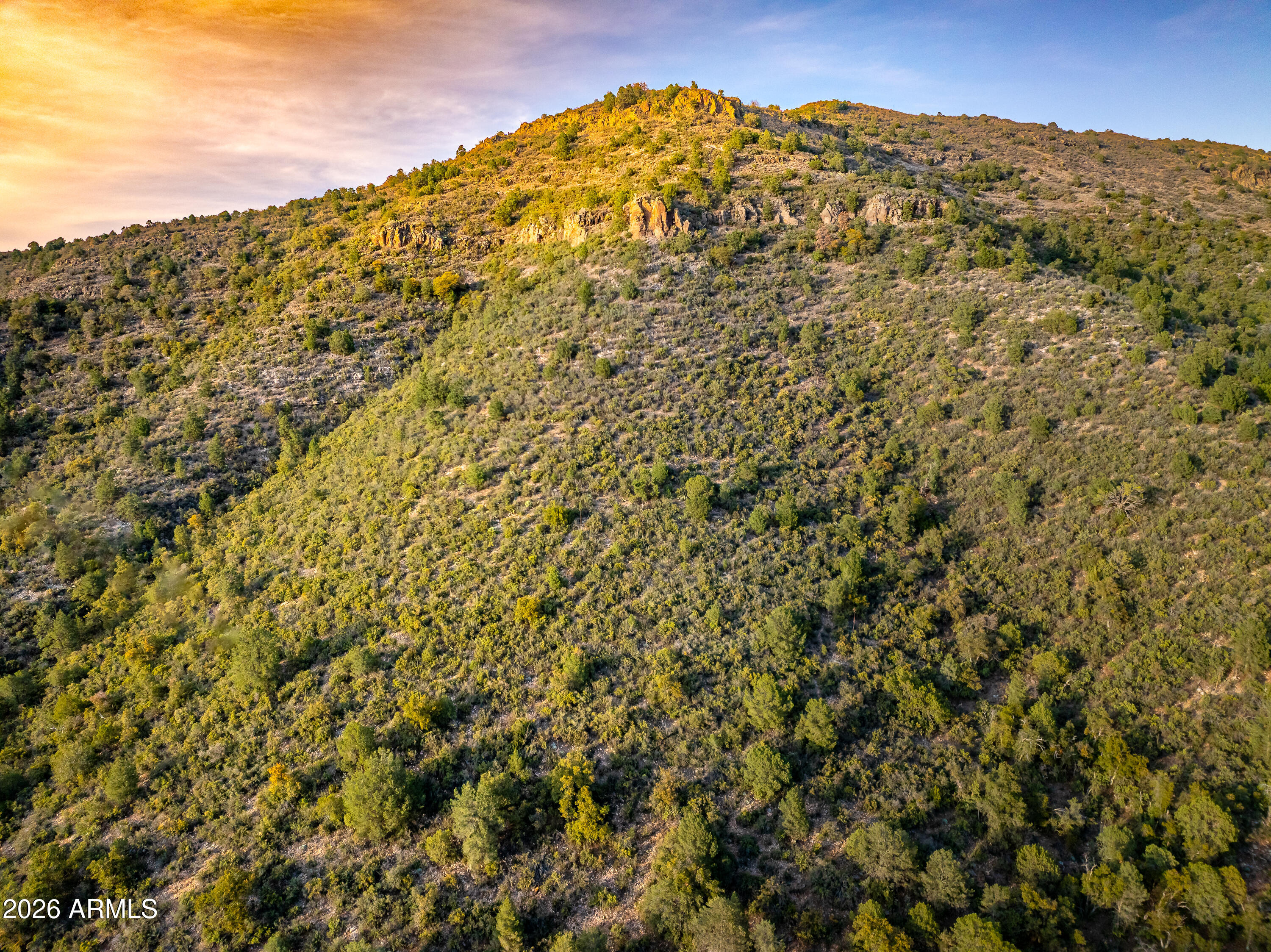 323 Homestead Entry Survey -- -