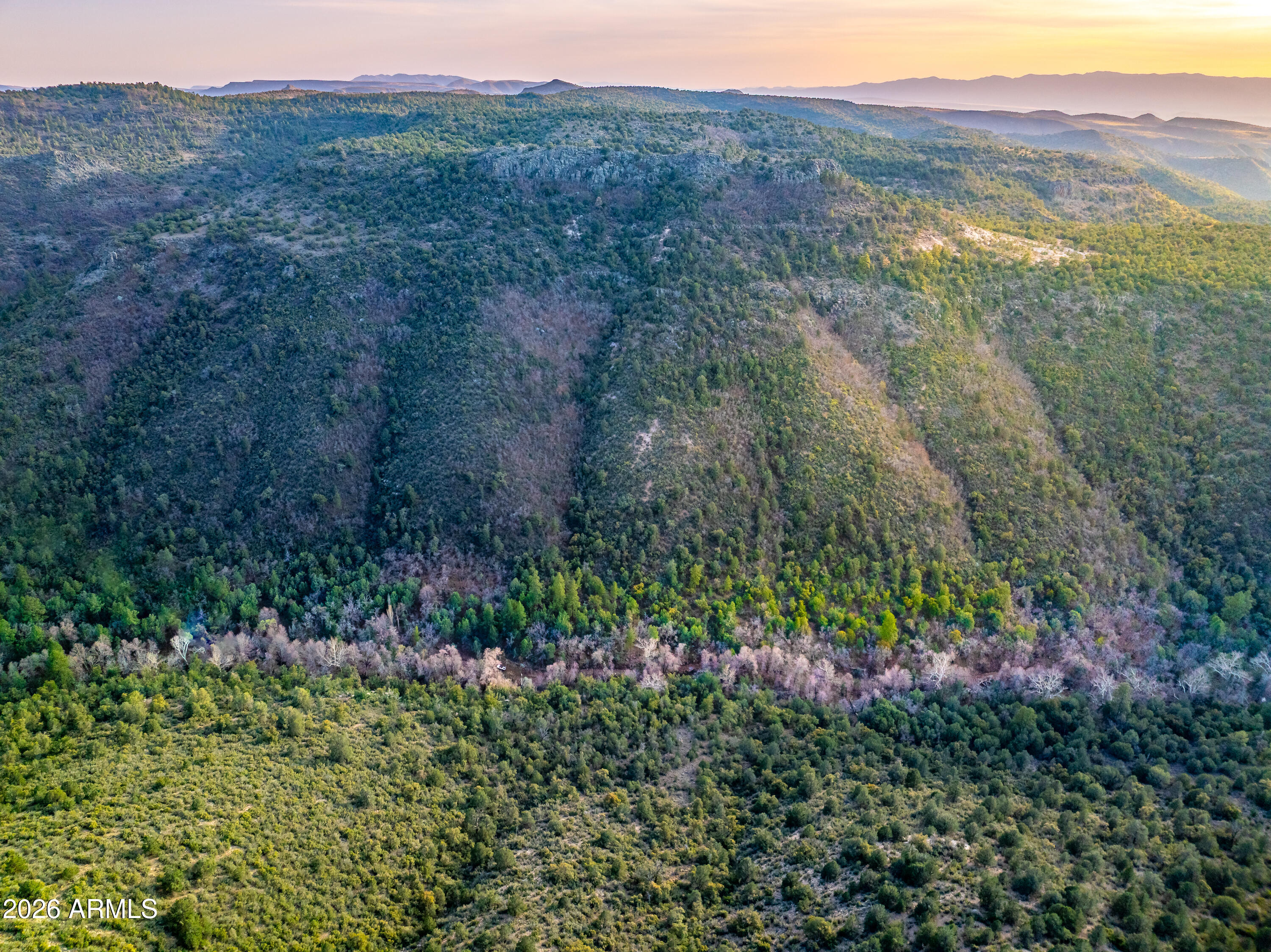 323 Homestead Entry Survey -- -