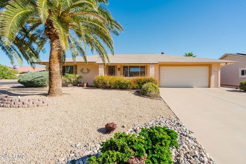 19419 N 133rd Avenue Sun City West AZ 85375