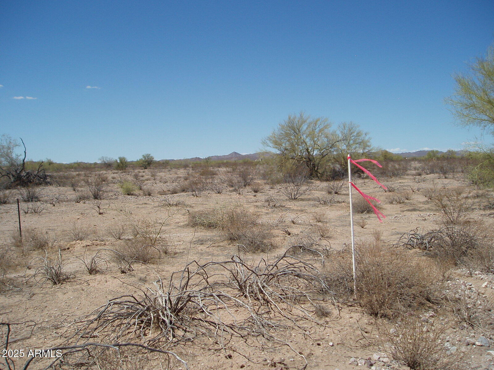 33200 N 347th Avenue 208