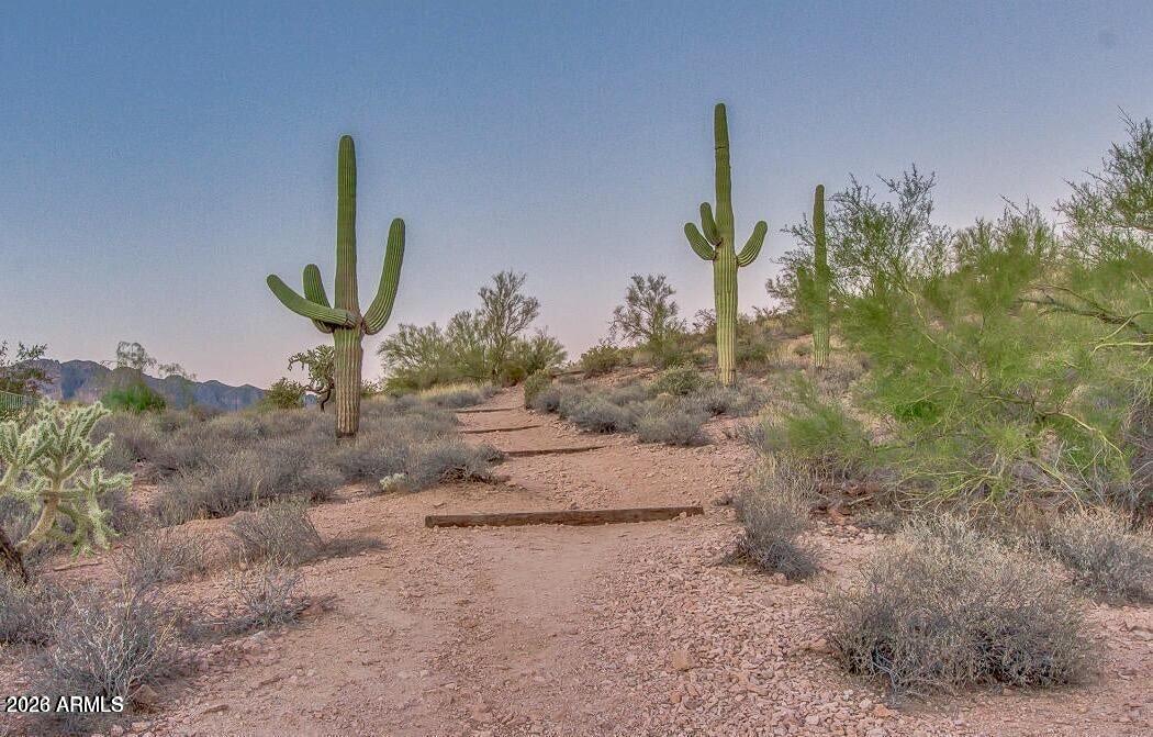 SUPERSTITION FOOTHILLS - Residential